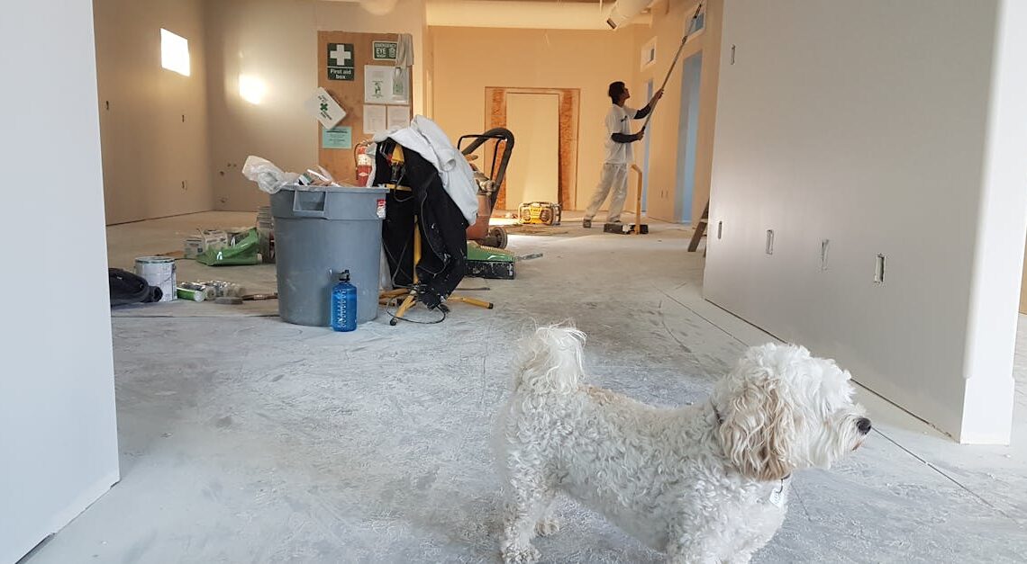 découvrez notre service de rénovation rapide, conçu pour transformer votre espace en un temps record. bénéficiez d'un savoir-faire expert et de solutions sur mesure pour redonner vie à votre intérieur sans compromettre la qualité.
