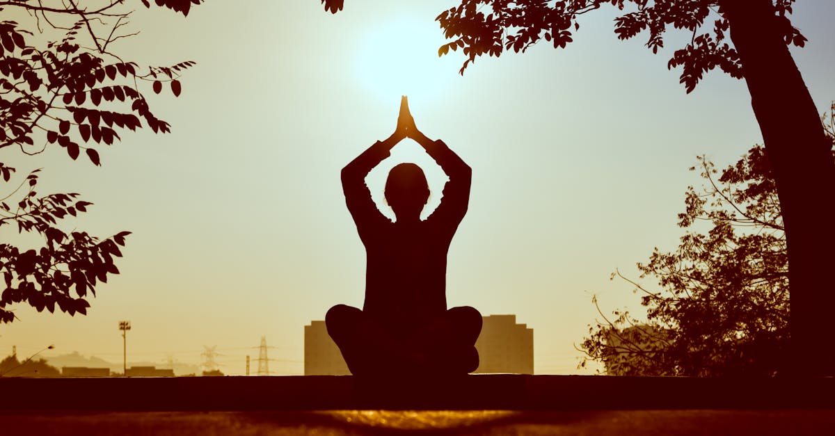 découvrez le pouvoir de la pleine conscience (mindfulness) pour réduire le stress, améliorer votre bien-être mental et cultiver un équilibre intérieur. apprenez des techniques simples pour vivre pleinement chaque instant.