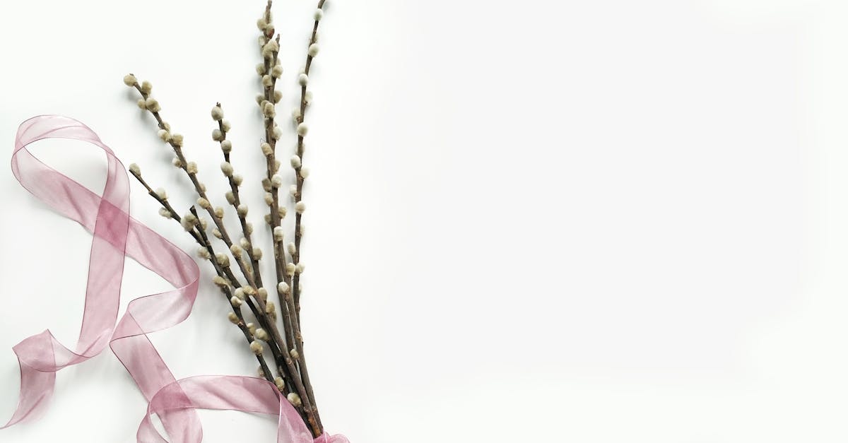 découvrez les principes du minimalisme, un mode de vie qui prône la simplicité et la réduction des biens matériels. apprenez à désencombrer votre espace et à vivre plus pleinement, en vous concentrant sur l'essentiel et en cultivant une existence sereine.